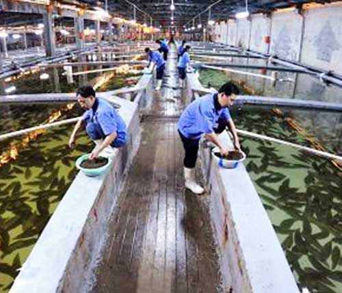 ��������ֳ