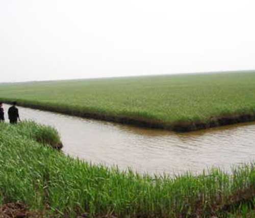 ʹ��Ȩ����